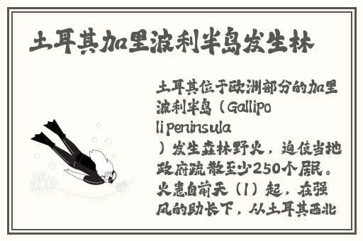 c人动作教程